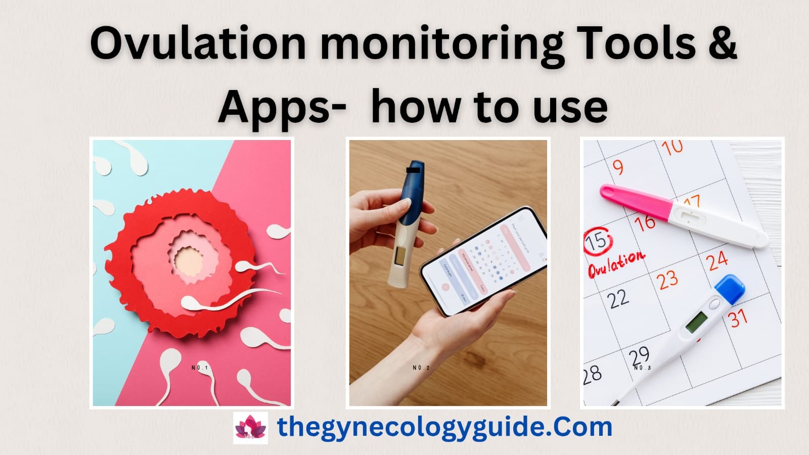 Fertility Monitoring Tools and Apps: A Comprehensive GuidE