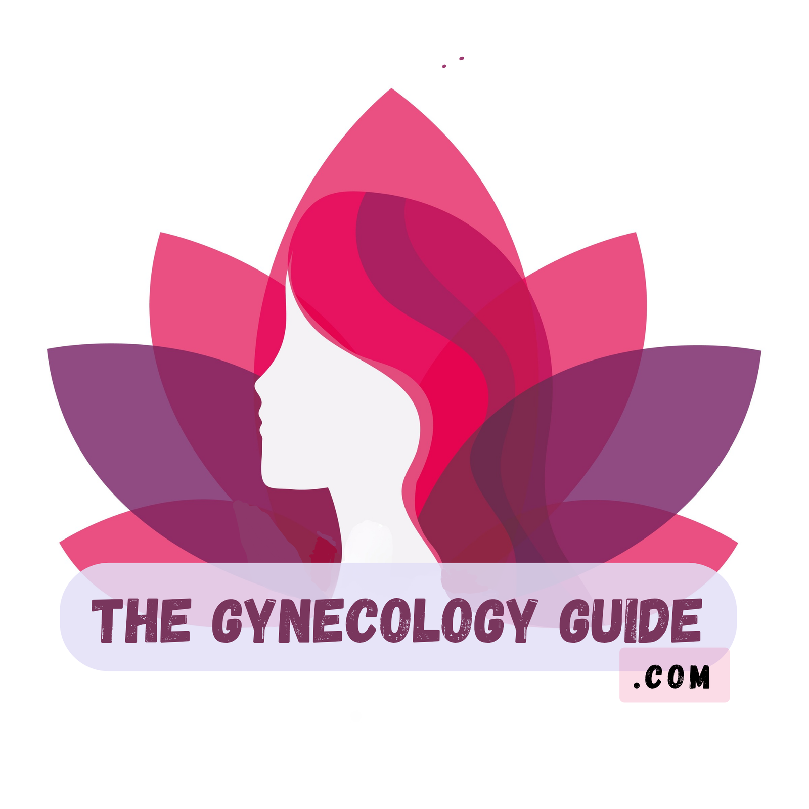 the gynecology guide